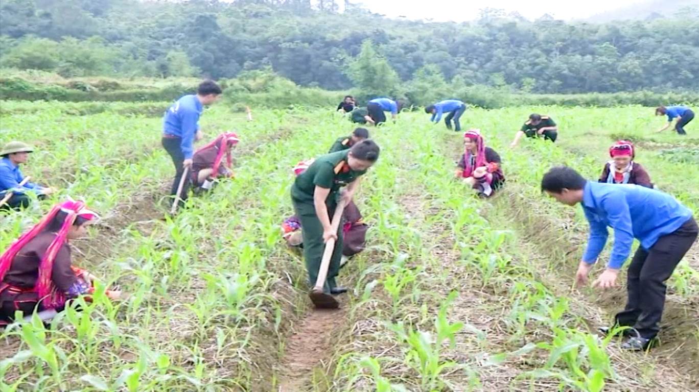 Đồng hành giúp dân phát triển sản xuất, xóa đói giảm nghèo