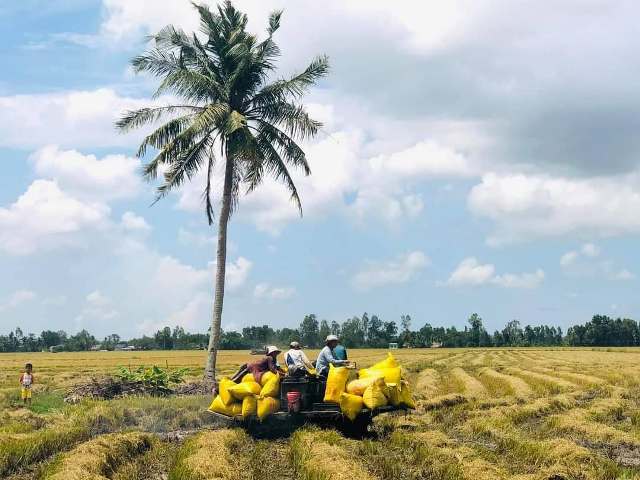 Kinh tế Việt Nam tiếp tục ổn định trong 4 tháng đầu năm