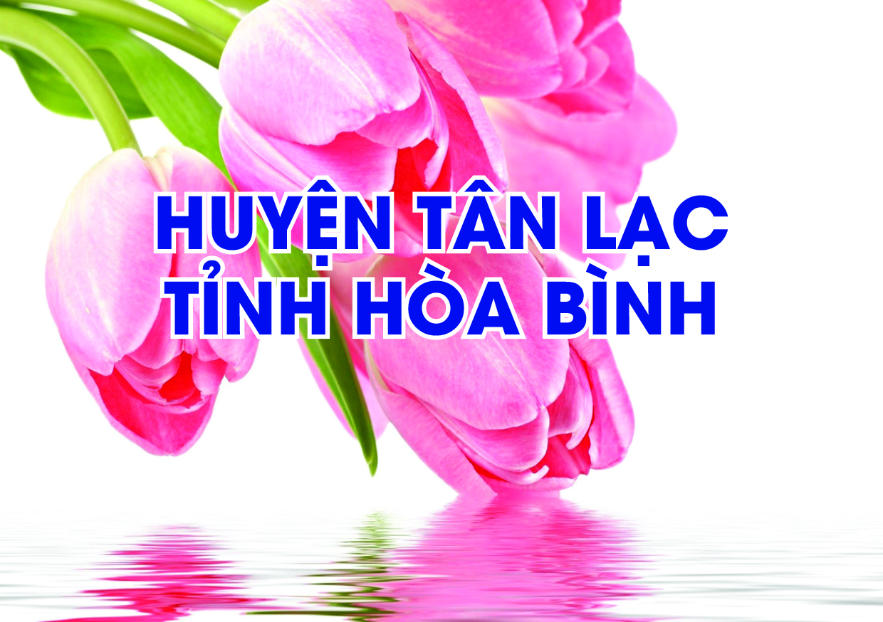 Chào mừng kỷ niệm 131 năm Ngày sinh Chủ tịch Hồ Chí Minh 19 5 1890 - 19 5 2021