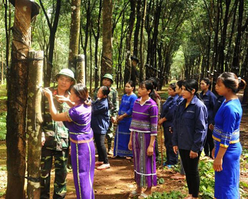 “Quân đội chung sức xây dựng nông thôn mới”