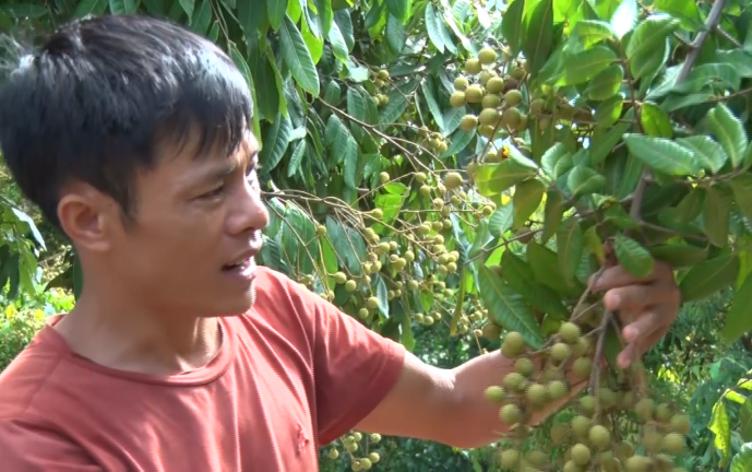 Xây dựng tỉnh Sơn La phát triển xanh, nhanh, bền vững