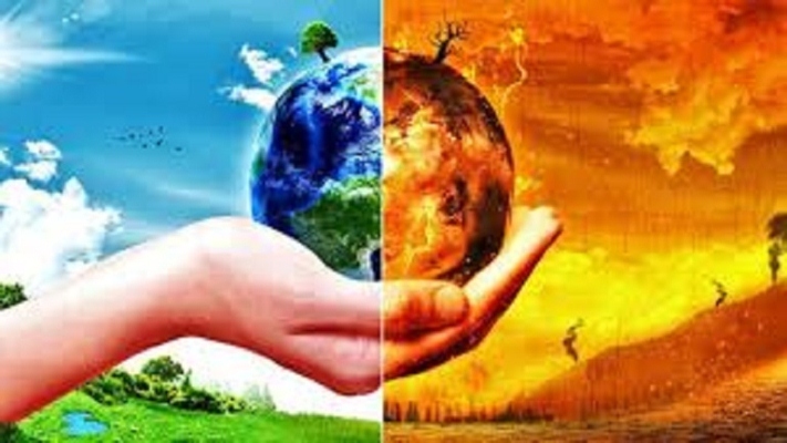 Góp ý dự thảo Nghị định giảm nhẹ phát thải khí nhà kính, bảo vệ tầng ô-dôn
