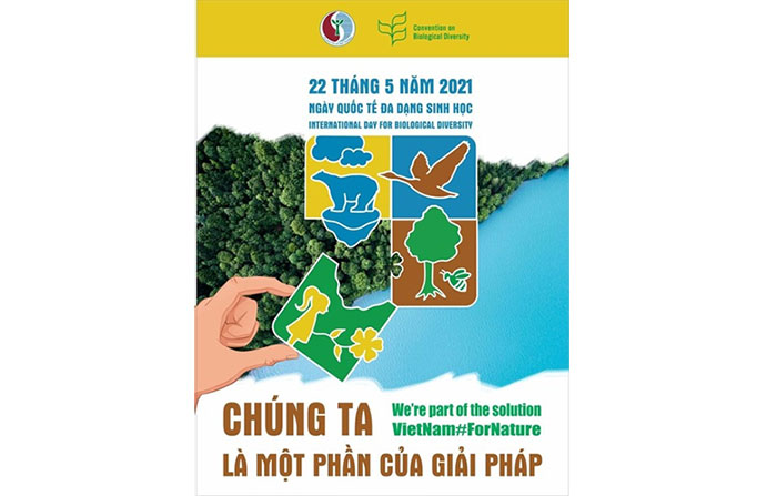 Tổ chức các hoạt động hưởng ứng Tháng hành động vì môi trường