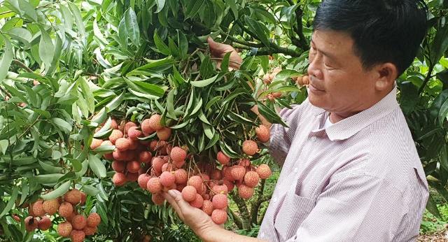 Thương mại điện tử Hướng đi mới cho tiêu thụ nông sản