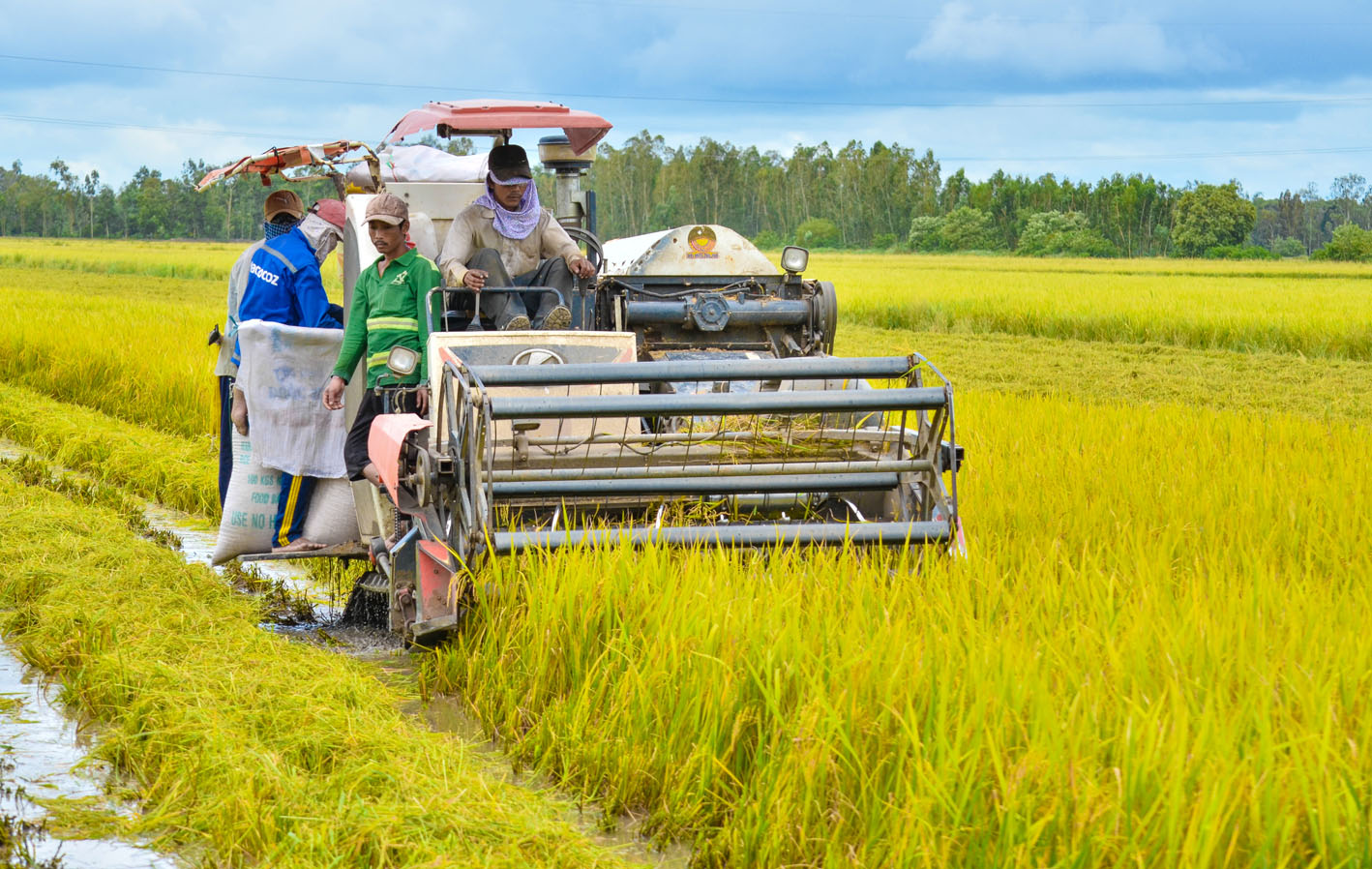 Kiên Giang Triển khai các mô hình sản xuất nông nghiệp theo hướng công nghệ cao