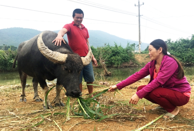 Phụ nữ huyện Bố Trạch Quảng Bình sử dụng vốn vay hiệu quả