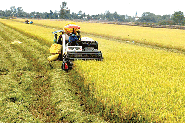Ứng dụng kỹ thuật số vào chương trình bảo hiểm nông nghiệp