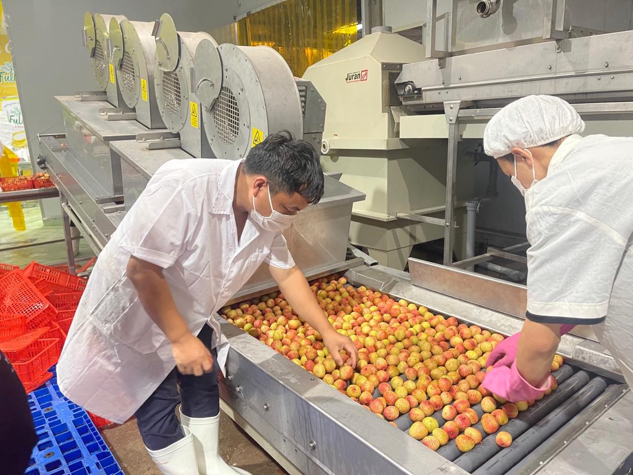 Để nông sản Việt “hữu xạ tự nhiên hương”