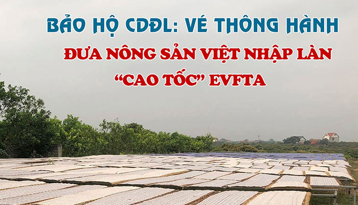 ​Bài 2 Bảo hộ CDĐL nước ngoài - Cơ hội lớn cho “vựa vải” miền Bắc