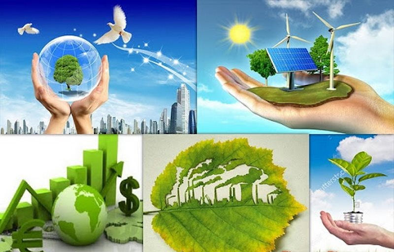 Nội dung tham vấn đánh giá tác động môi trường phải phù hợp Luật BVMT

​