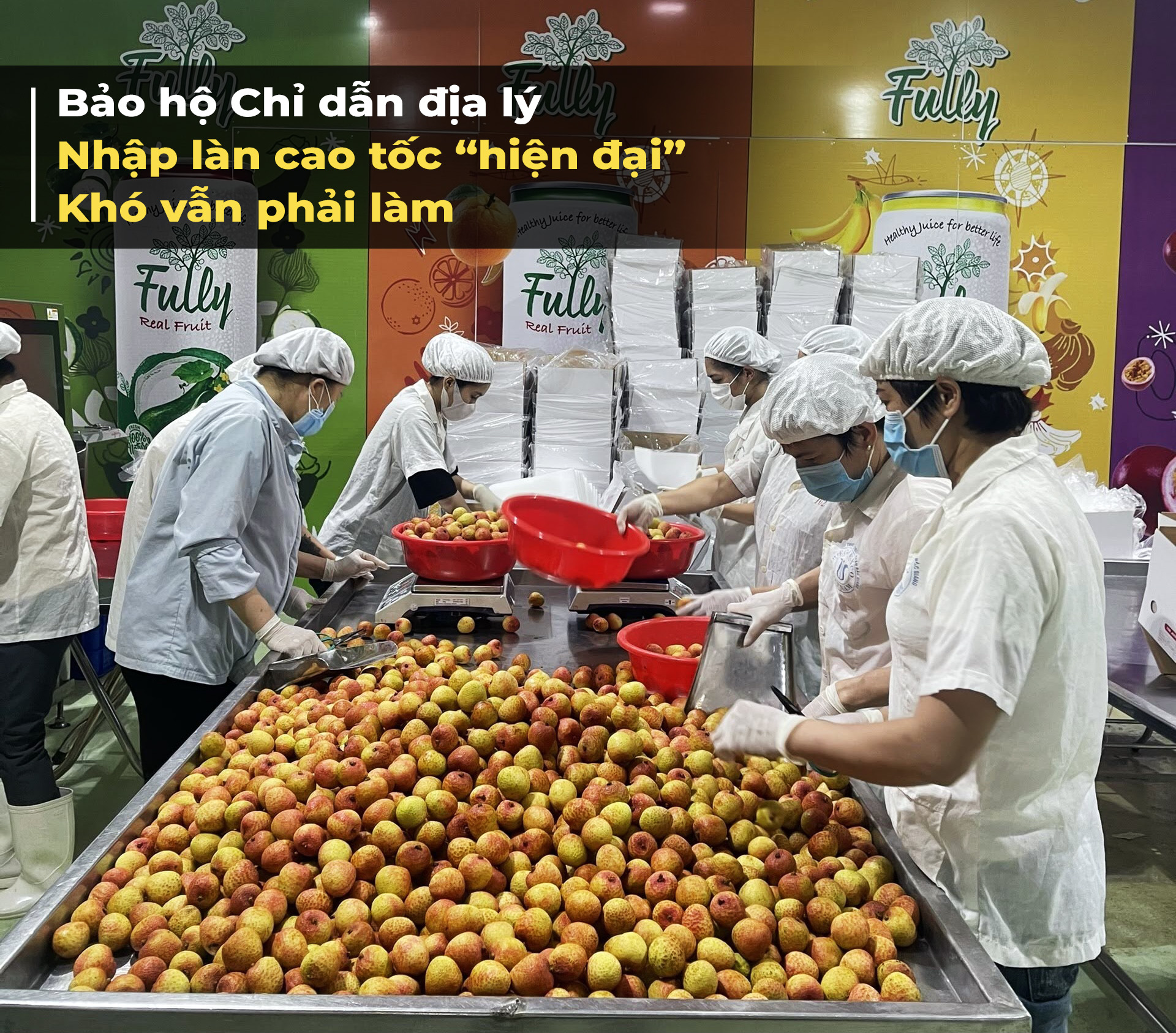 Bài 4 Bảo hộ CDĐL, nhập làn  cao tốc hiện đại” – Khó vẫn phải làm