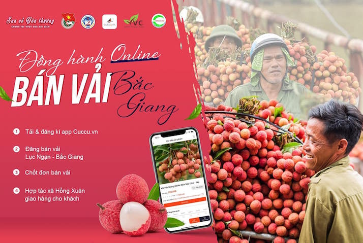 Giúp Bắc Giang tiêu thụ 100 tấn vải thiều trong tháng 6