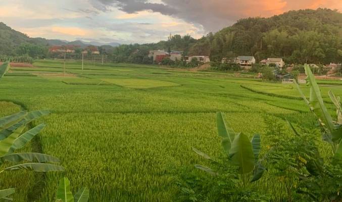 Tăng cường tham vấn cộng đồng, hoàn thiện pháp luật đất đai