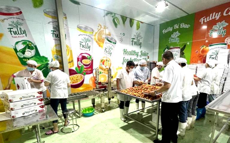 Chung tay tiêu thụ vải thiều Bắc Giang giữa tâm dịch COVID-19