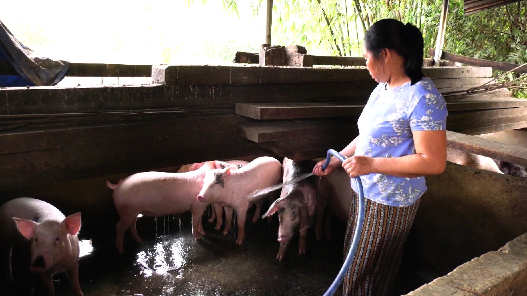 Nam Giang Quảng Nam  Nhiều điển hình trong học và làm theo Bác