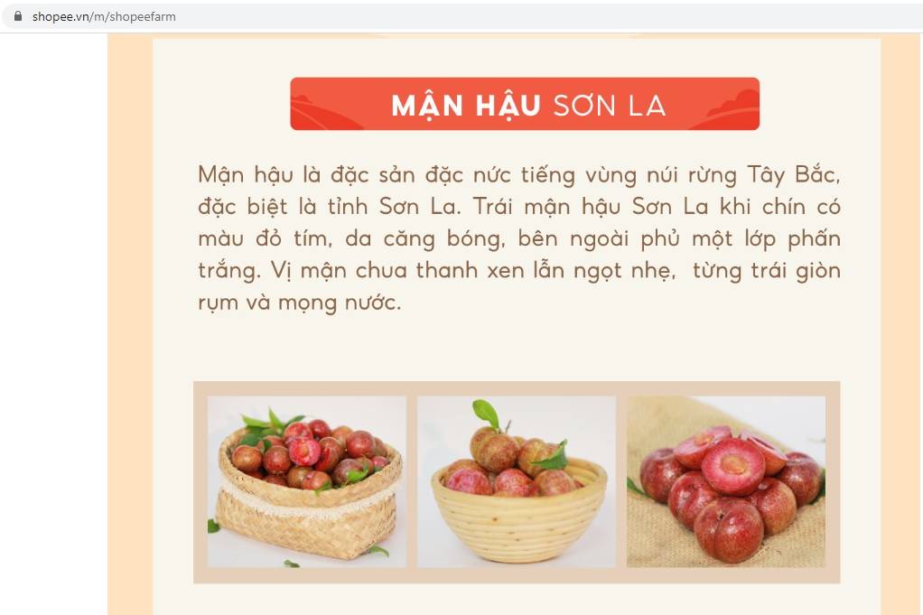 Sàn thương mại điện tử - hướng đi hiệu quả cho nông sản thời COVID-19