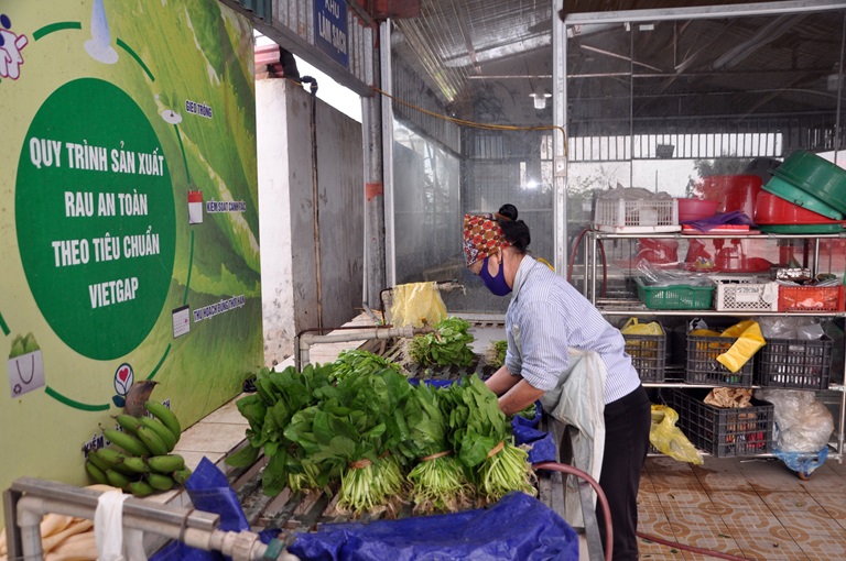 Tháo gỡ khó khăn cho các HTX trong thời điểm đại dịch Covid – 19