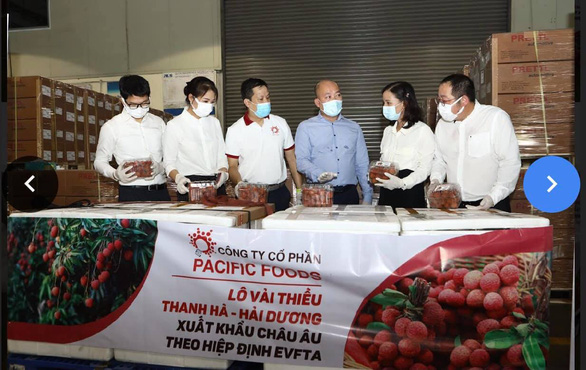 EVFTA Con đường đưa trái vải Việt Nam ra biển lớn