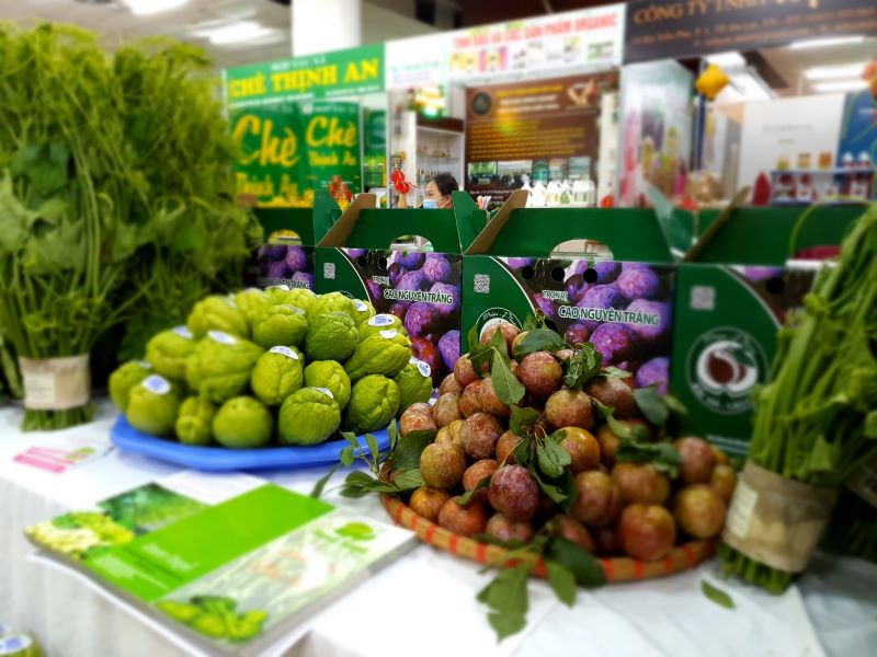 Kết nối tiêu thụ mận tam hoa và nông sản an toàn tỉnh Lào Cai