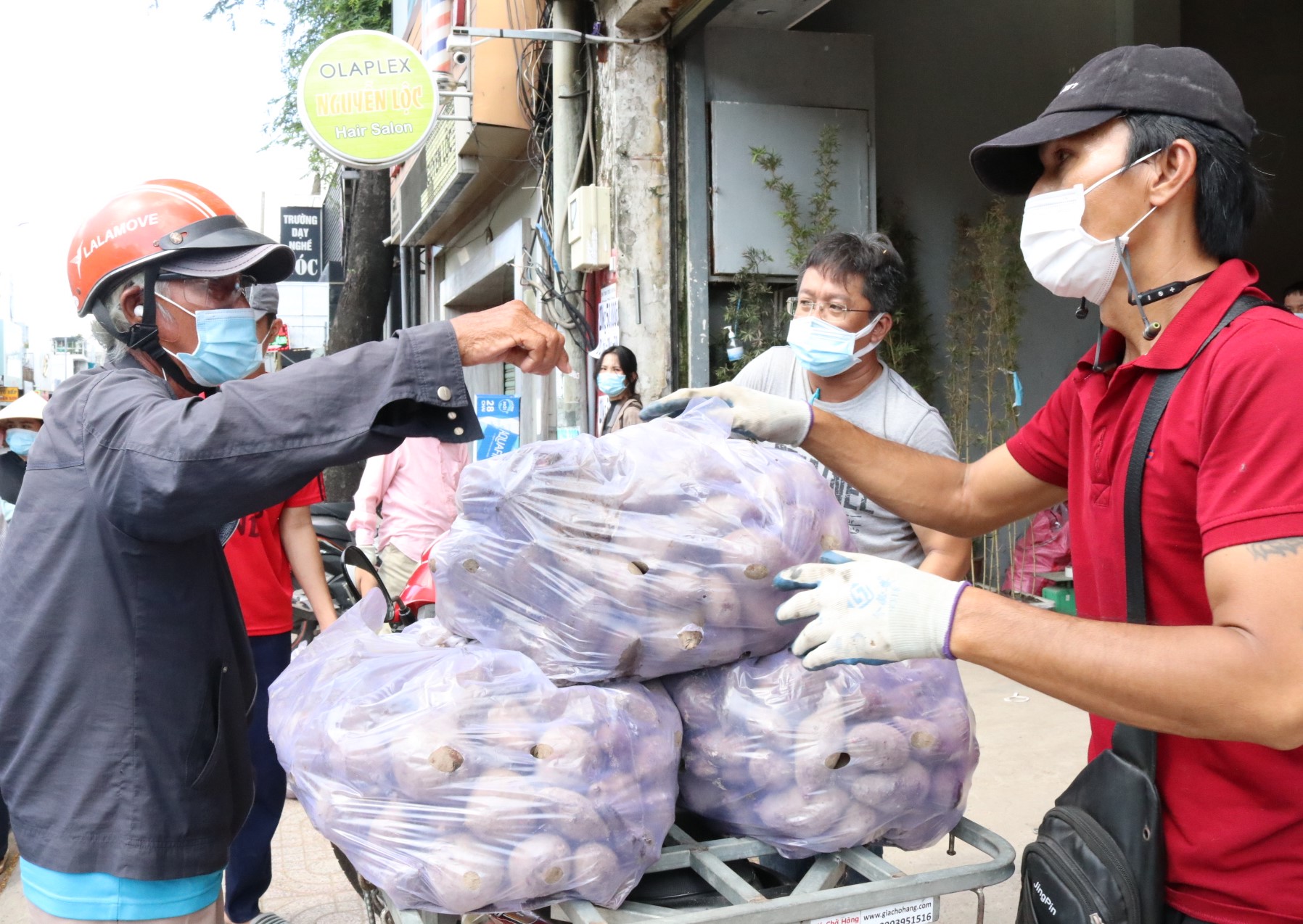 Chung tay tiêu thụ khoai lang tím cho nông dân Vĩnh Long