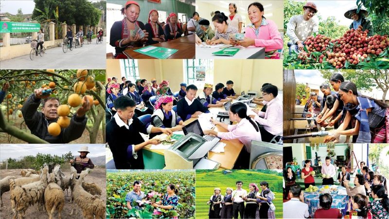 Kết luận của Ban Bí thư về tiếp tục thực hiện Chỉ thị số 40-CT TW về tăng cường sự lãnh đạo của Đảng đối với tín dụng chính sách xã hội