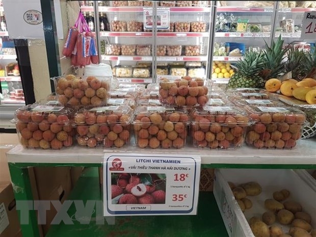 Vải thiều Thanh Hà bán tại Pháp, giá gần 500 000 đồng kg vẫn đắt hàng