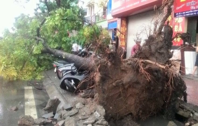 Xác định rõ đối tượng chịu tác động BĐKH trong xây dựng Thông tư