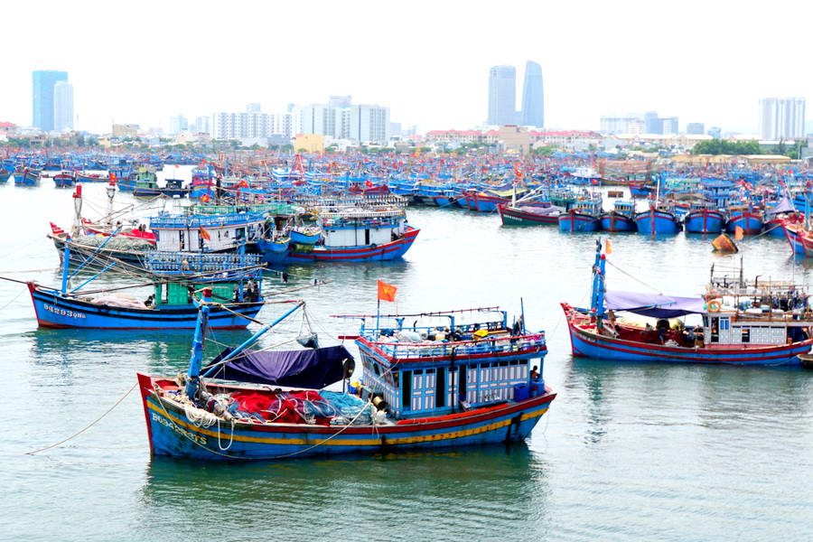 Kinh tế biển Đà Nẵng Thực trạng và định hướng phát triển