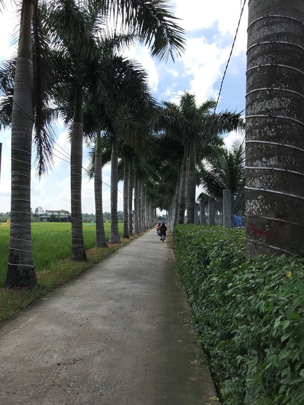 Long An có thêm 9 xã nông thôn mới