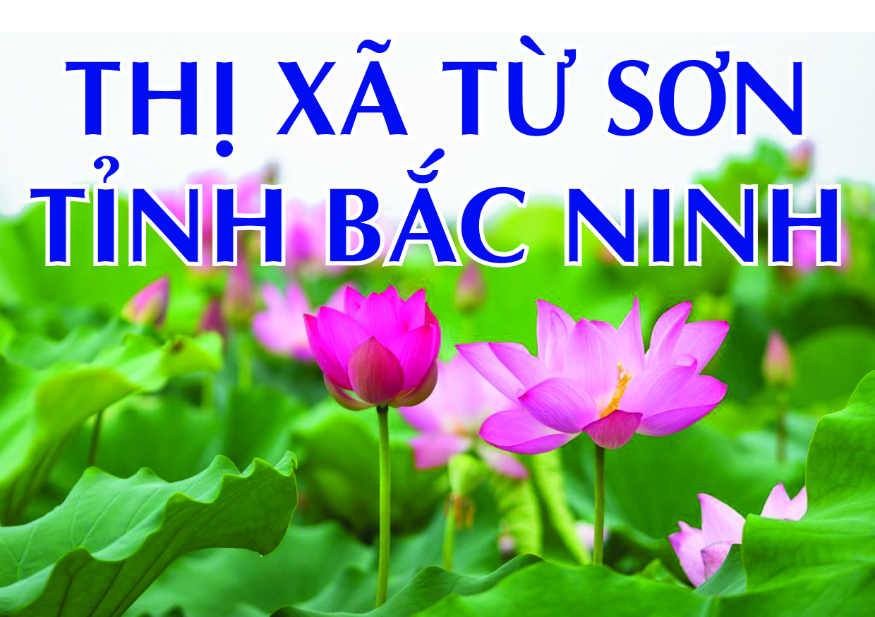 Chào mừng kỷ niệm 76 năm Ngày Cách mạng Tháng Tám và Quốc khánh 02 9 1945 - 2021
