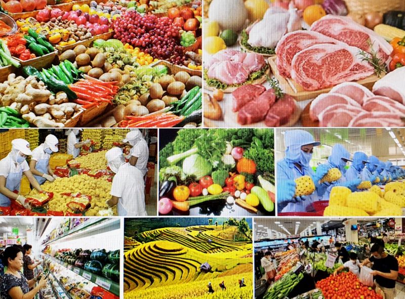 Xây dựng hệ thống lương thực, thực phẩm minh bạch, trách nhiệm, bền vững