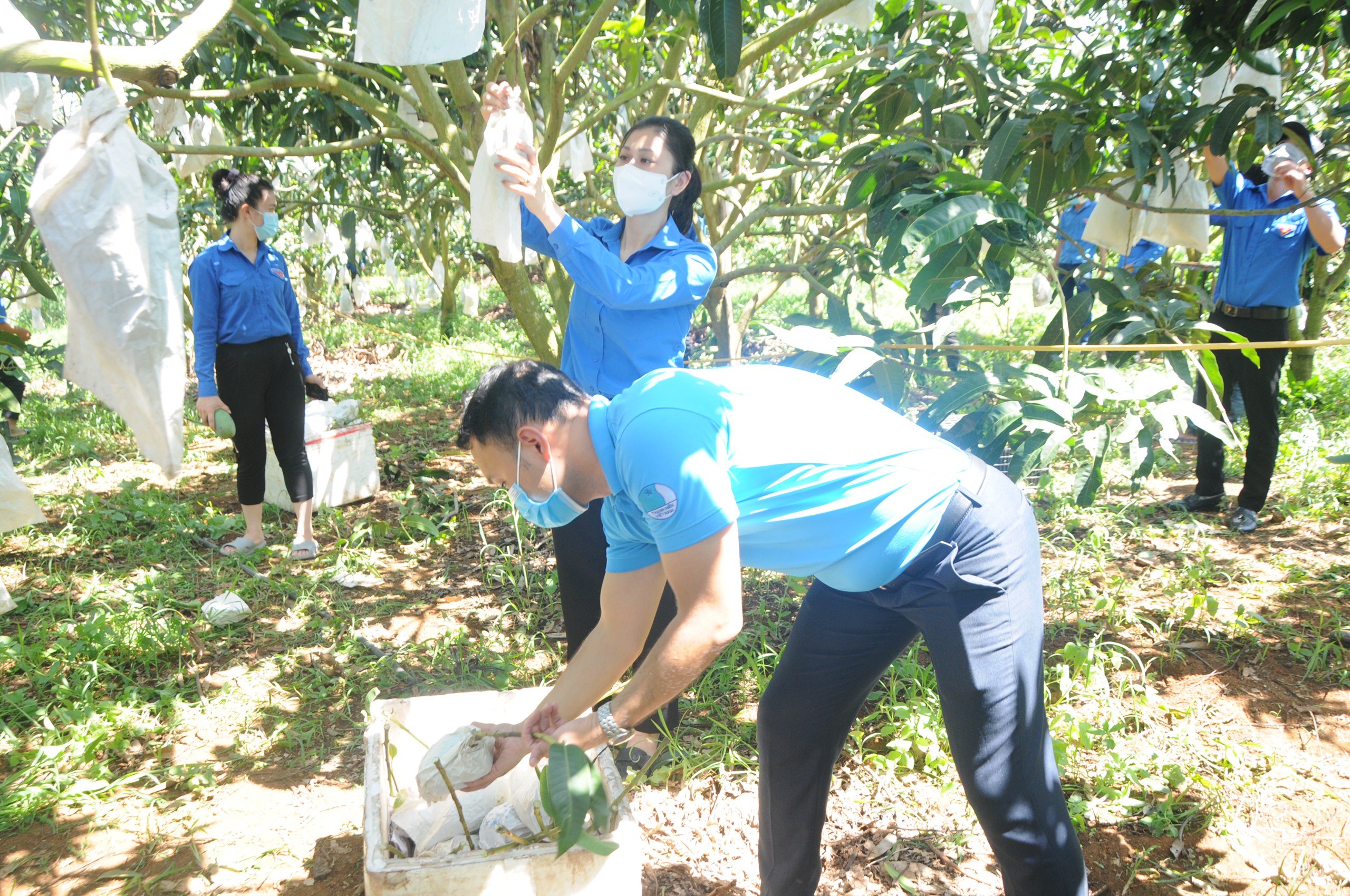 Tuổi trẻ Sơn La chung sức quảng bá, tiêu thụ nông sản cho nông dân
