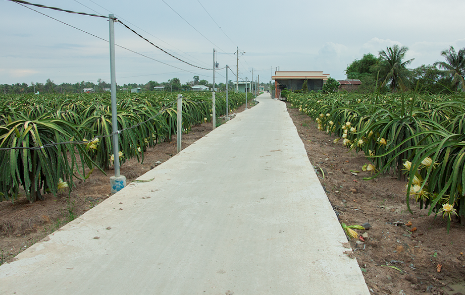 Nâng cao chất lượng trái thanh long tiêu thụ trên thị trường