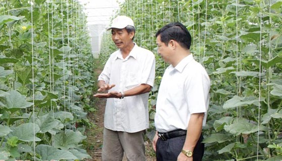 Bình Phước định hướng phát triển nông nghiệp công nghệ cao