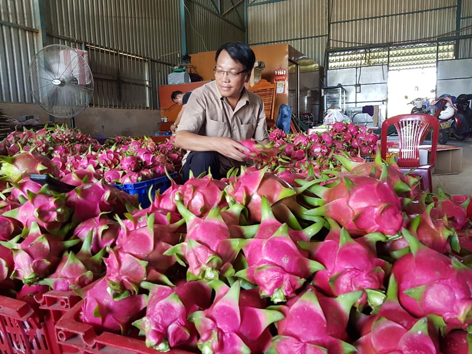 TP Tân An Long An  Nâng tầm nông sản qua Chương trình “Mỗi xã một sản phẩm”