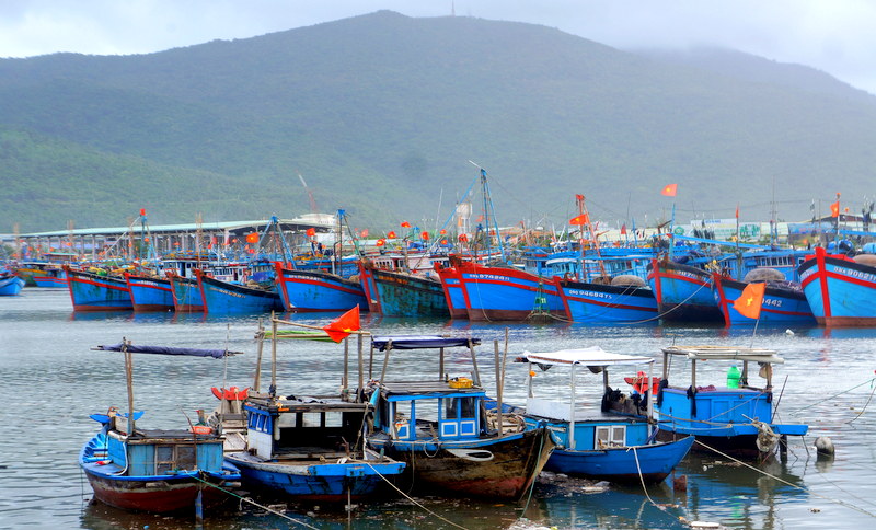 Cần chủ động ứng phó áp thấp nhiệt đới
