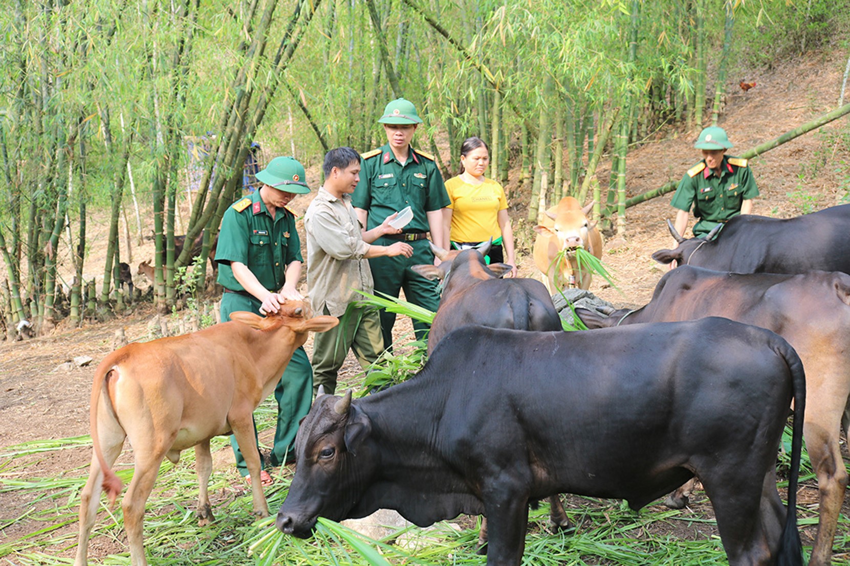 Niềm vui nơi đầu nguồn sông Mã
