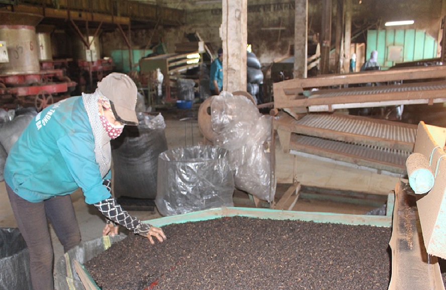 Phú Thọ Thúc đẩy tiêu thụ nông sản trong bối cảnh dịch COVID-19