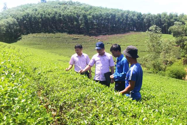 Chuyện viết đơn tình nguyện ra khỏi hộ nghèo ở Nghệ An
