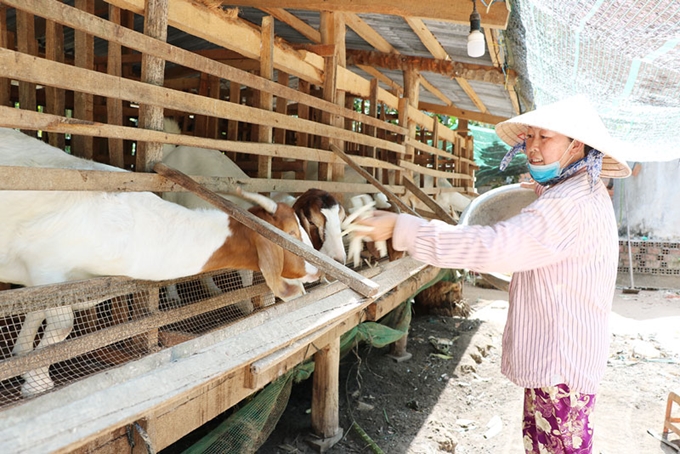 Quy trình rà soát hộ nghèo, hộ cận nghèo