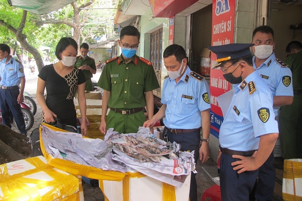 Nam Định Phát hiện gần 500 kg thực phẩm bốc mùi chuẩn bị đến tay người sử dụng