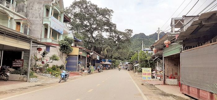 Bắc Kạn Sẽ xử lý loạt sai phạm tại Dự án đường tỉnh 254