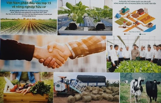 Kỳ 3 Phát triển nông nghiệp hữu cơ - Thuận lợi và thách thức
