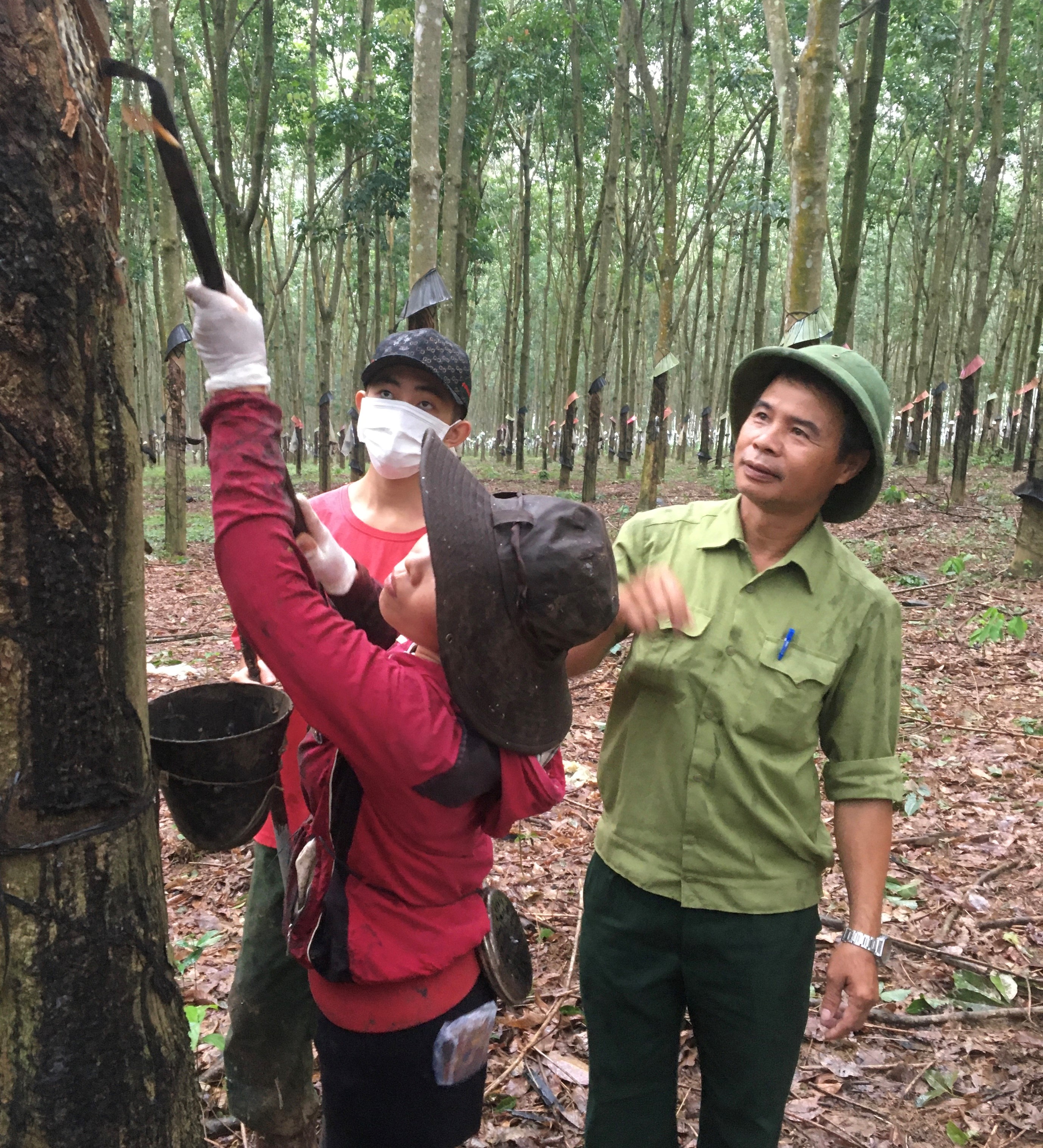 Bí thư chi bộ không làm giàu cho riêng mình