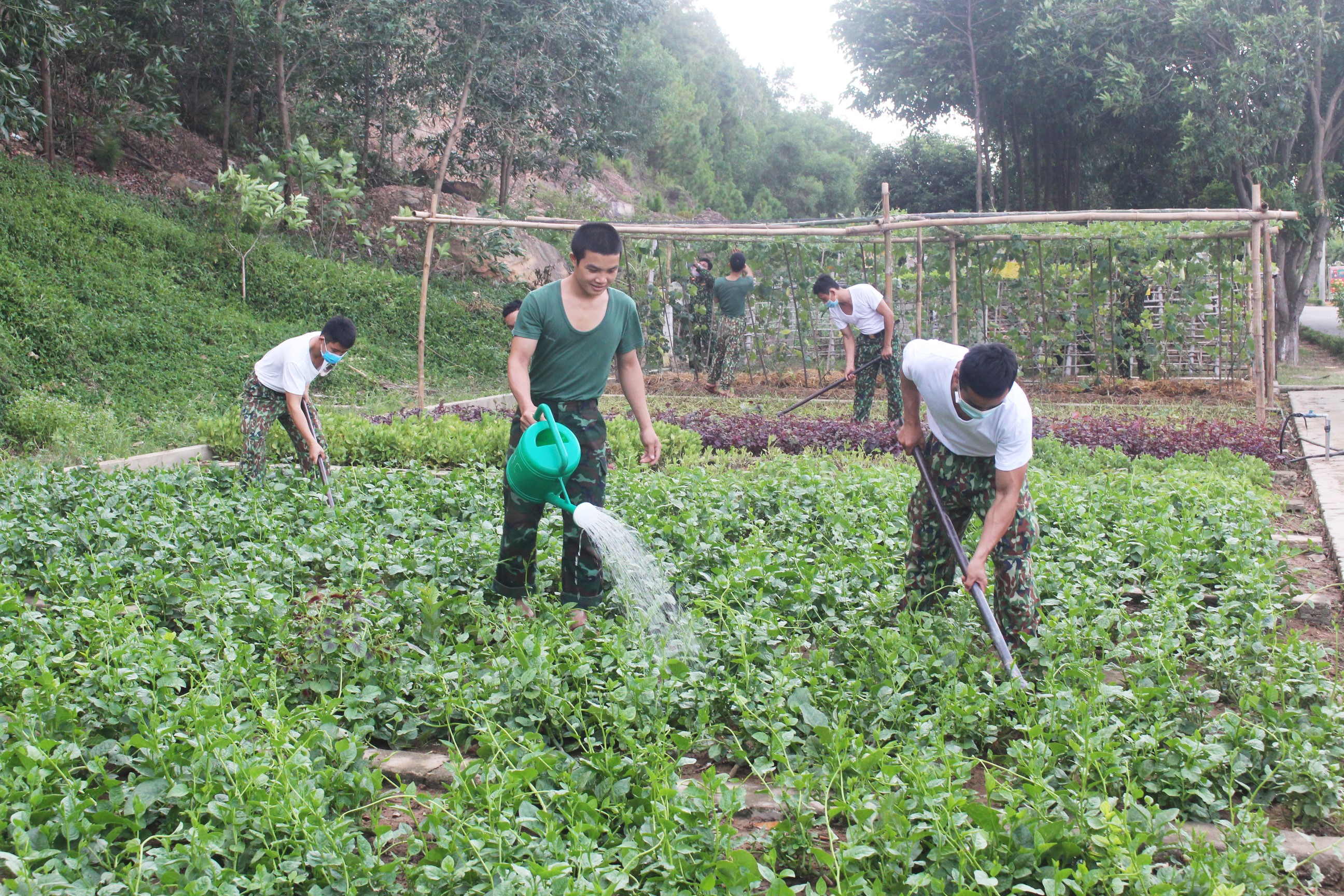 Kho K77 vượt khó tăng gia