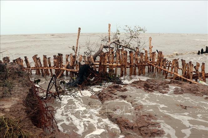 Nhiều địa phương triển khai kế hoạch ứng phó biến đổi khí hậu