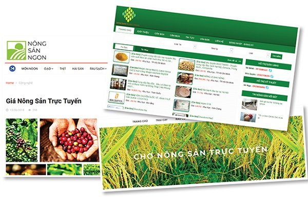Đẩy mạnh hỗ trợ tiêu thụ nông sản giữa mùa dịch