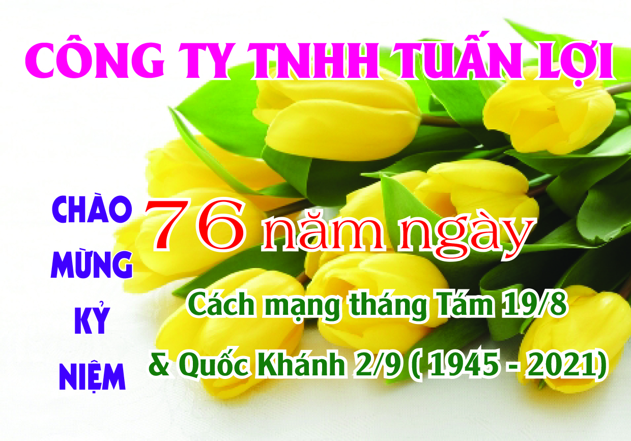 Công ty TNHH Tuấn Lợi Khẳng định thương hiệu uy tín trên thị trường xây dựng
