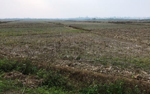 Hà Nội 350 dự án chậm triển khai, vi phạm Luật Đất đai