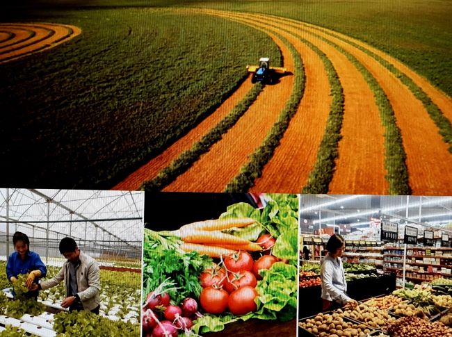 Kỳ 4 Để xây dựng thương hiệu nông nghiệp hữu cơ “made in Vietnam”